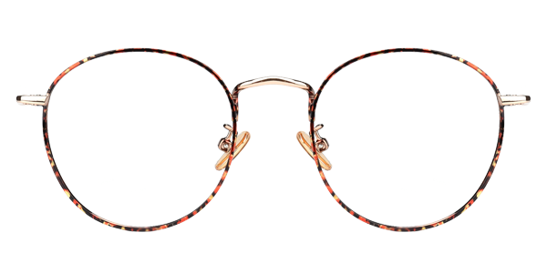 Tortoise